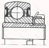 Модификация подшипника 1680205 размер 25x62x18/31