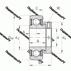 Подшипник RAE 25-NPP-B